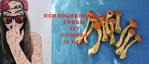 гидропоника Алексеевка
