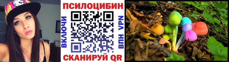 Псилоцибиновые грибы мицелий  Лермонтов 